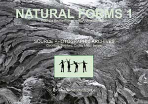 Natural-forms-cover-W300